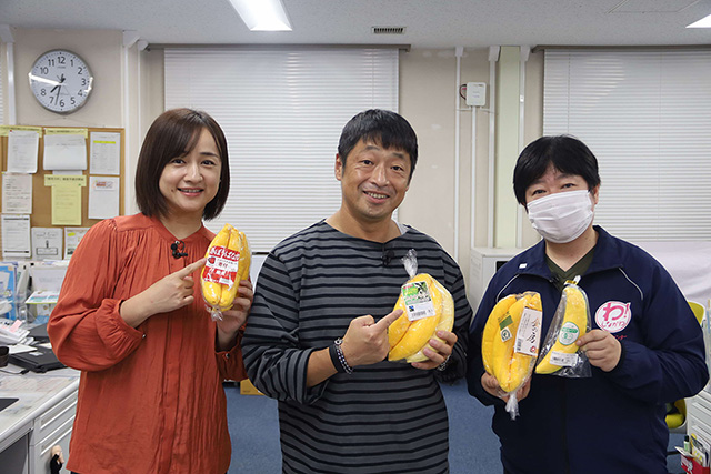 こんなときわ！区役所へ