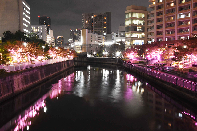 しながわニュース