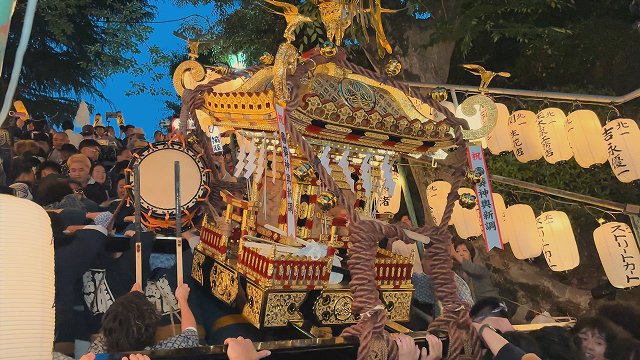 シナガワンTV ピックアップ！