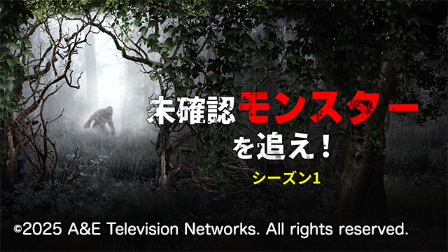 ヒストリーチャンネル