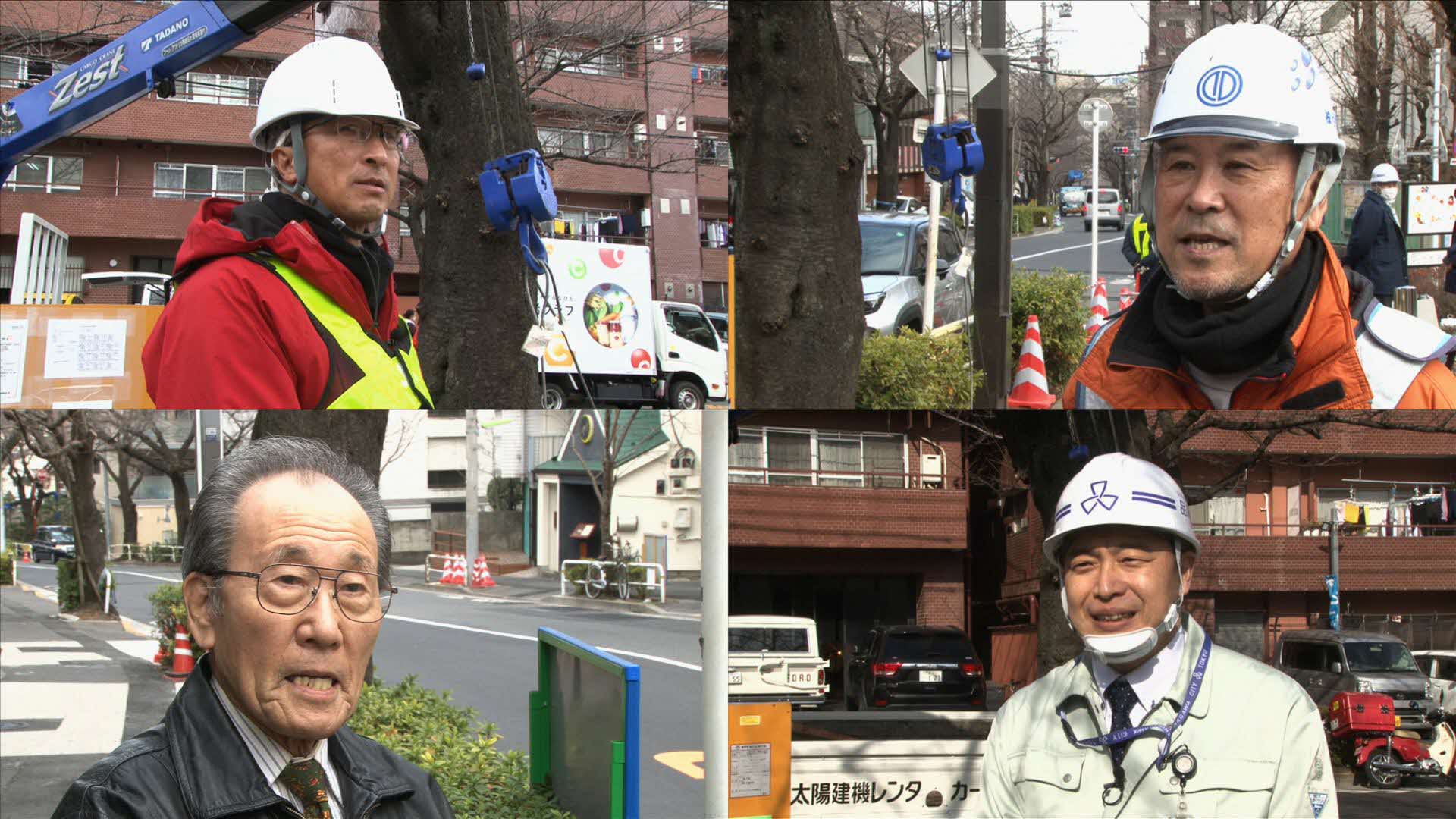 しながわのチ・カ・ラ