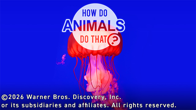 アニマルプラネット