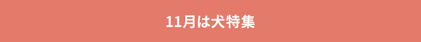 11月は犬特集