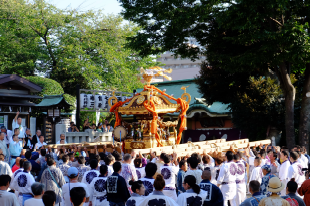 ケーブルテレビ品川社長賞 ＃1 NASCAR 作品「氷川神社例大祭　発輿祭」